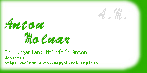 anton molnar business card